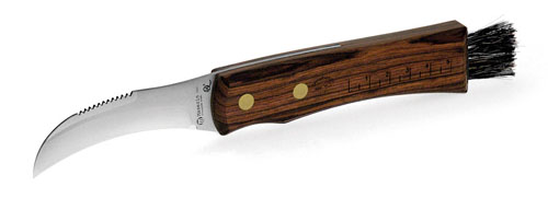 Mushroom knife Line - 809/OL čepeľ: 420, rukoväť: drevo olivové